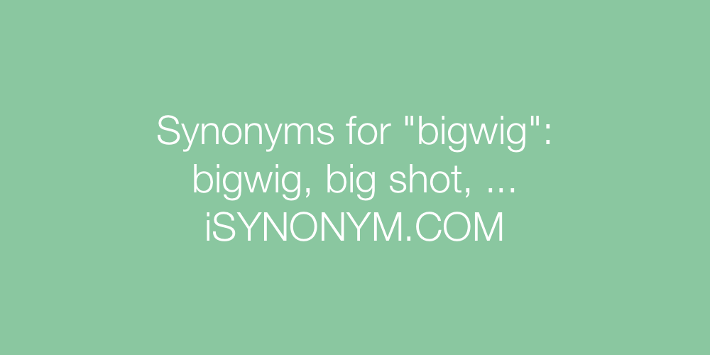 Synonyms bigwig