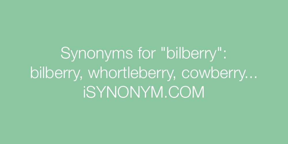 Synonyms bilberry