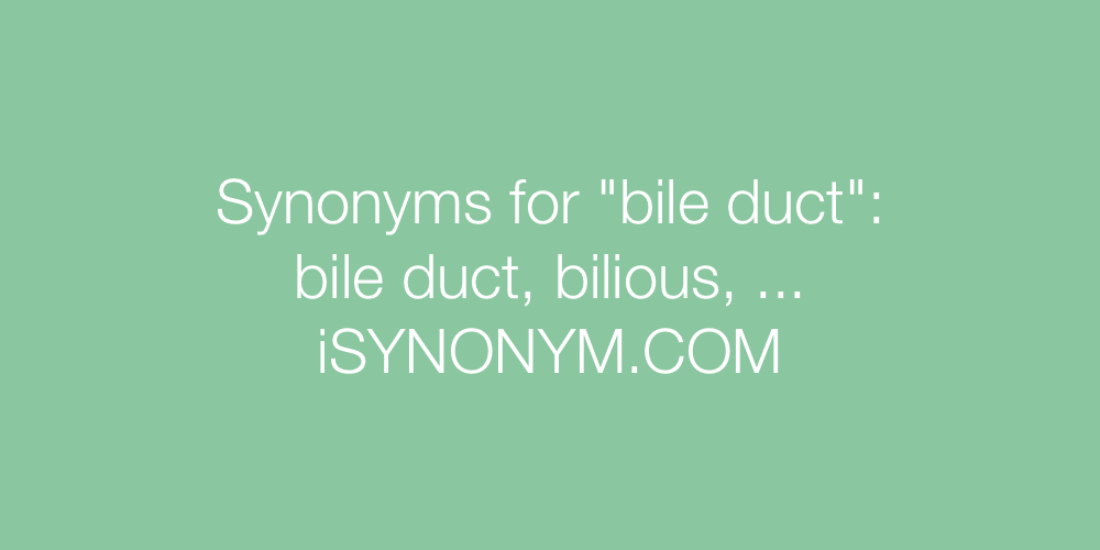 Synonyms bile duct