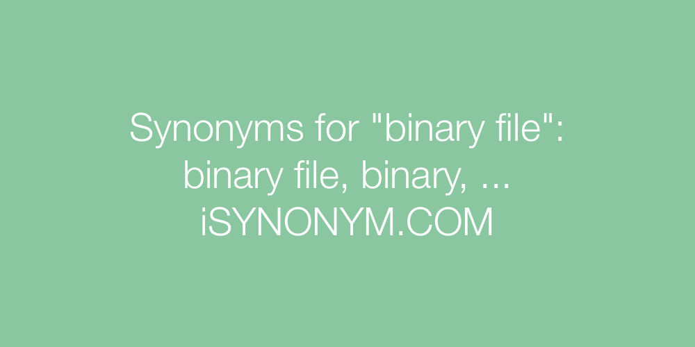 Synonyms binary file