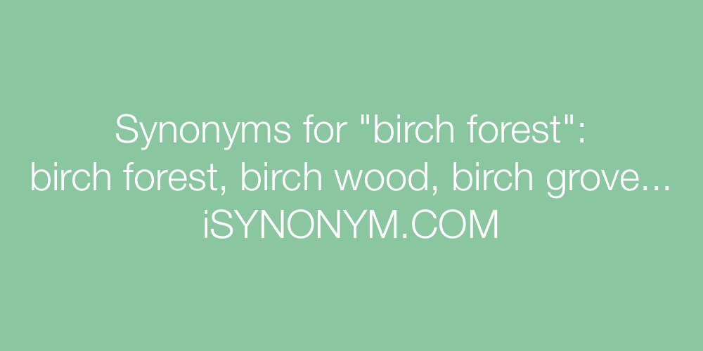 Synonyms birch forest