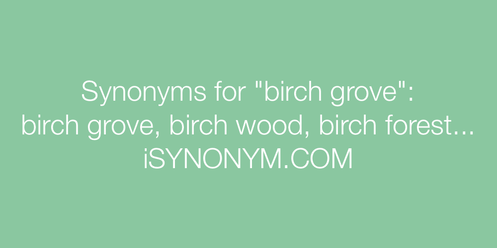 Synonyms birch grove