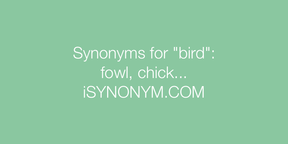 Synonyms bird