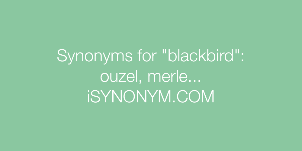 Synonyms blackbird