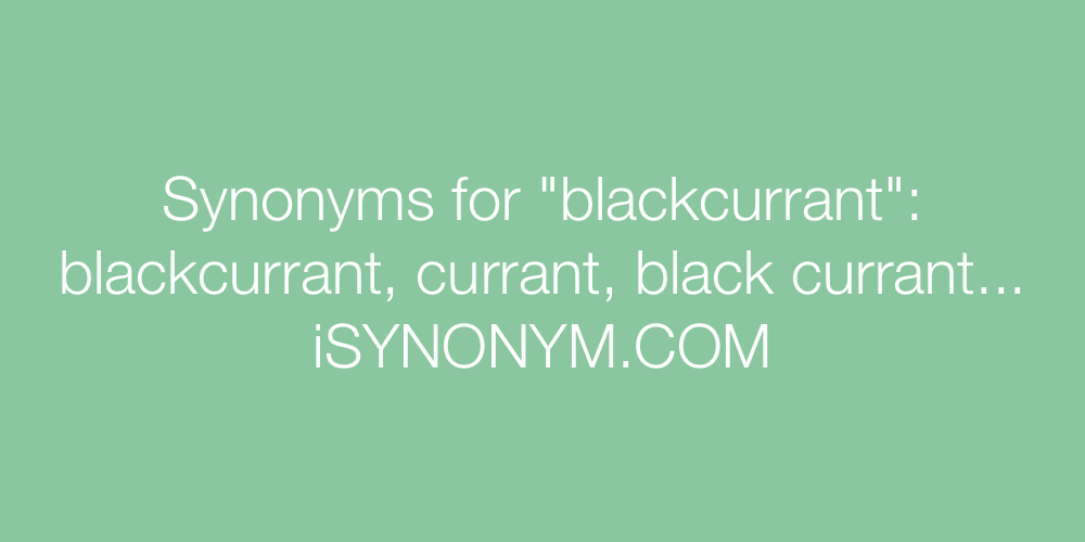 Synonyms blackcurrant