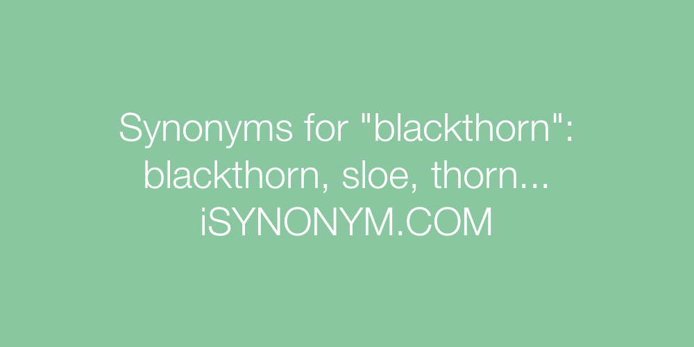 Synonyms blackthorn