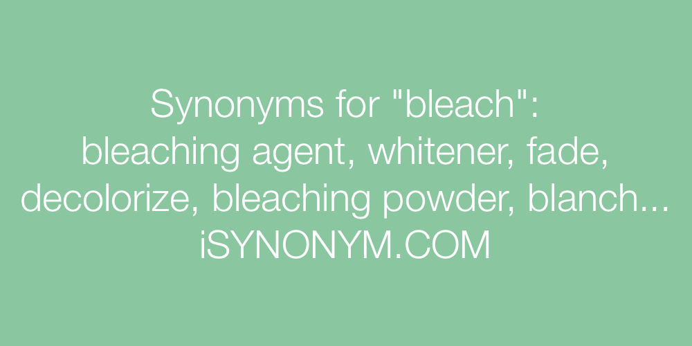 Synonyms bleach