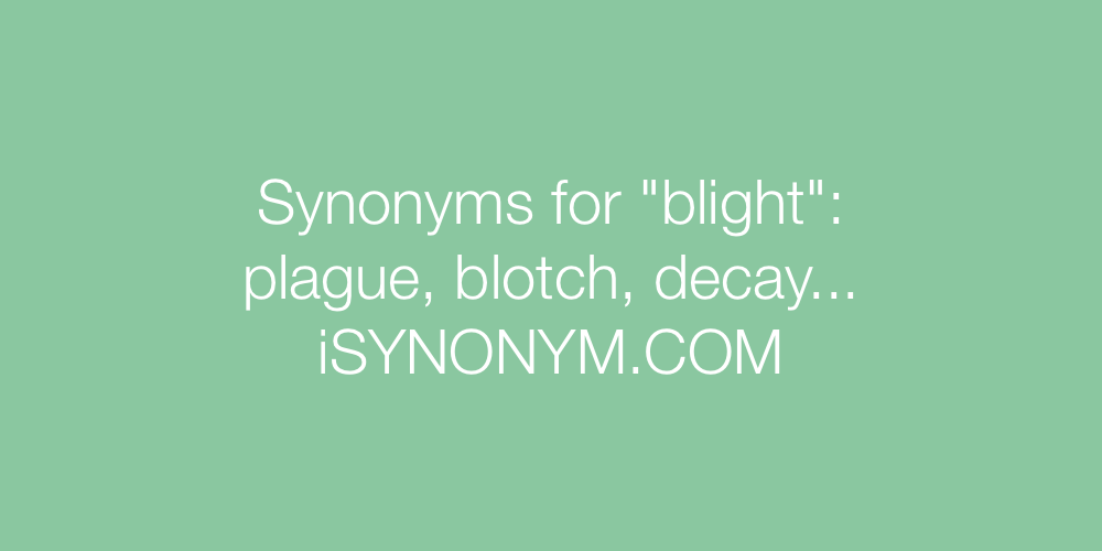 Synonyms blight