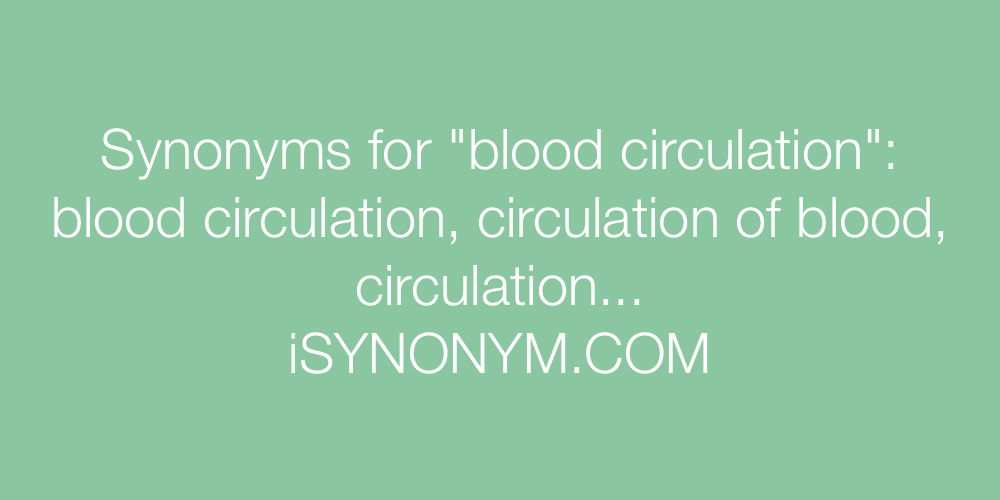 Synonyms blood circulation