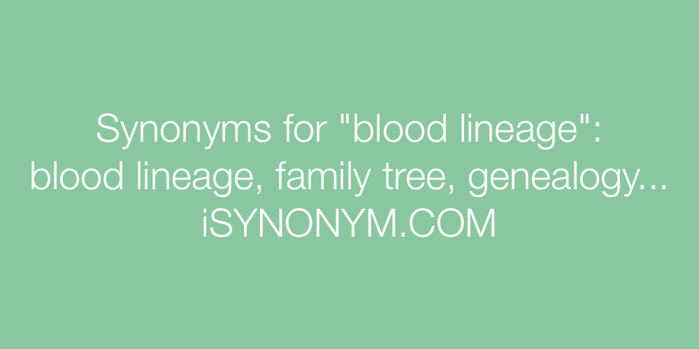Synonyms blood lineage