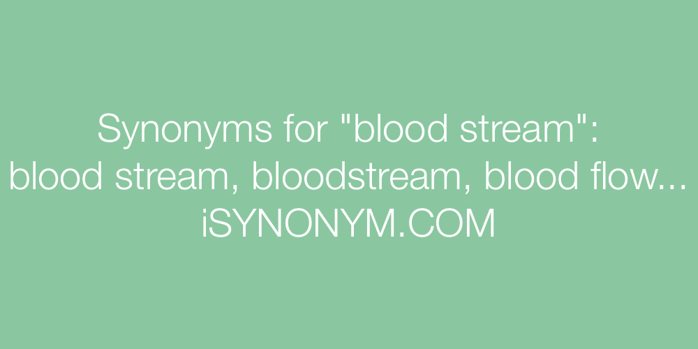 Synonyms blood stream