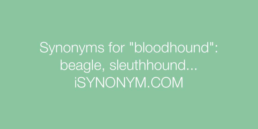 Synonyms bloodhound