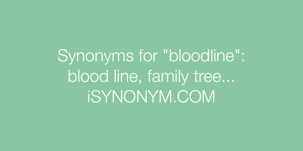 Synonyms bloodline