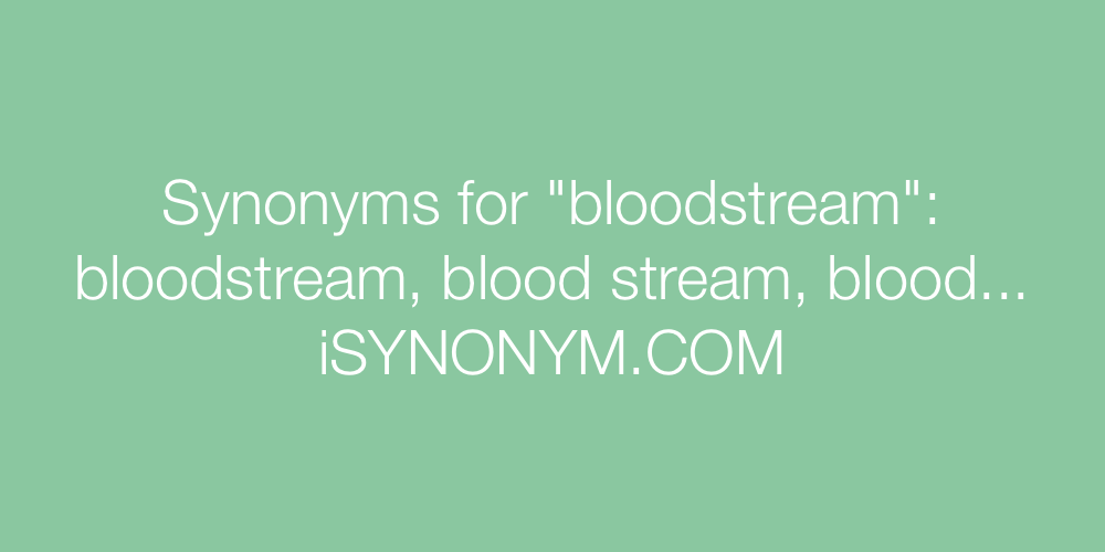 Synonyms bloodstream