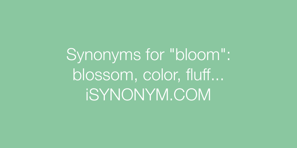 Synonyms bloom