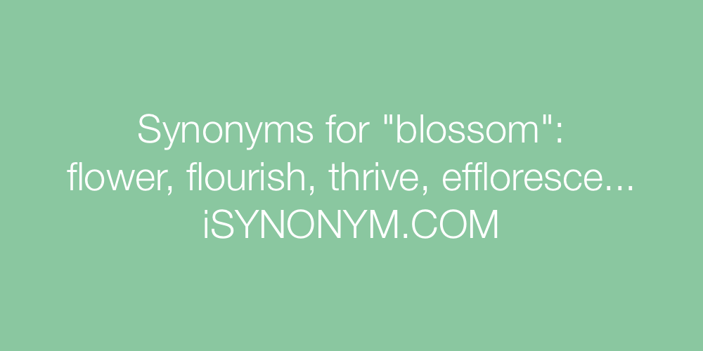 Synonyms blossom