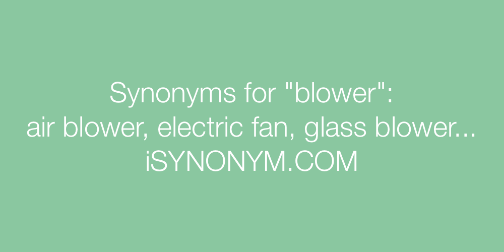 Synonyms blower