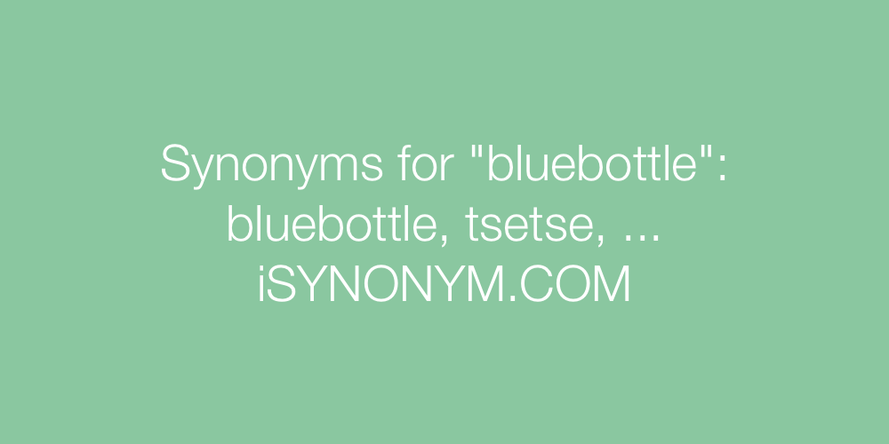 Synonyms bluebottle
