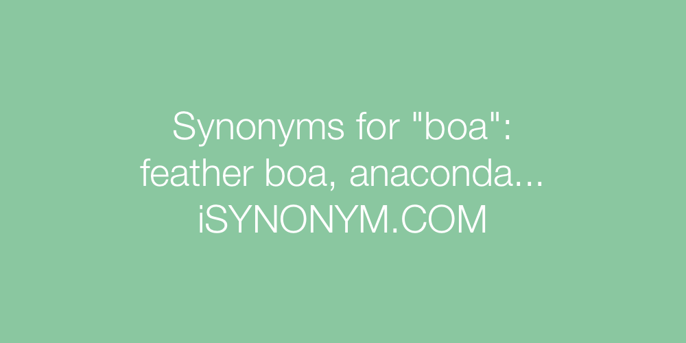 Synonyms boa