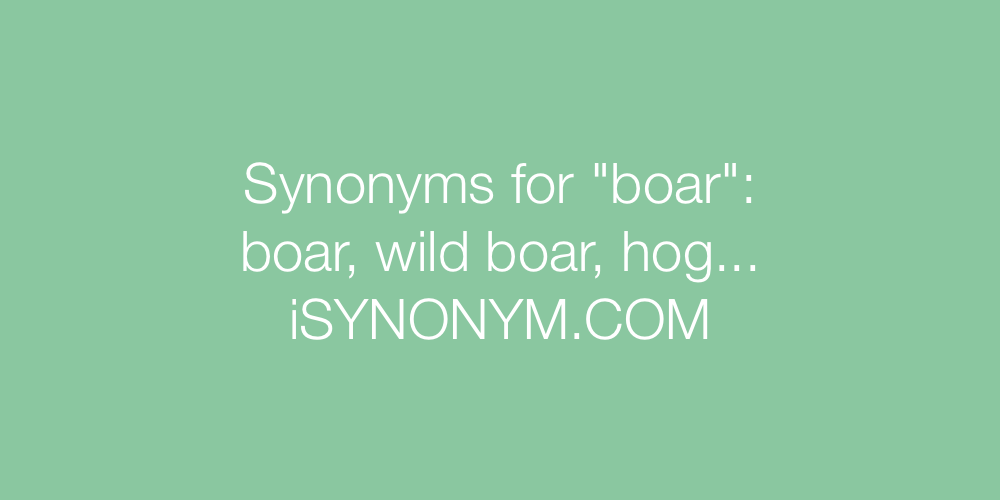 Synonyms boar