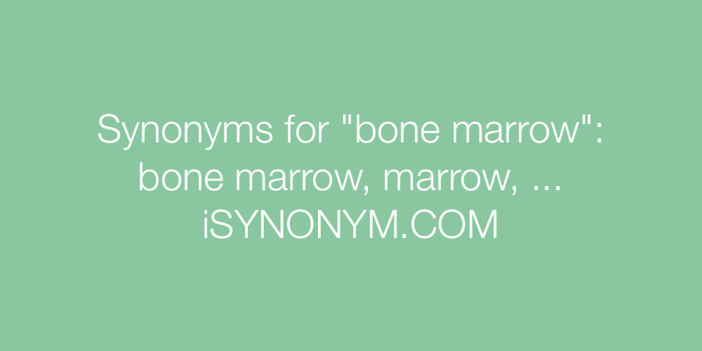 Synonyms bone marrow