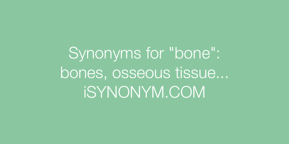 Synonyms bone