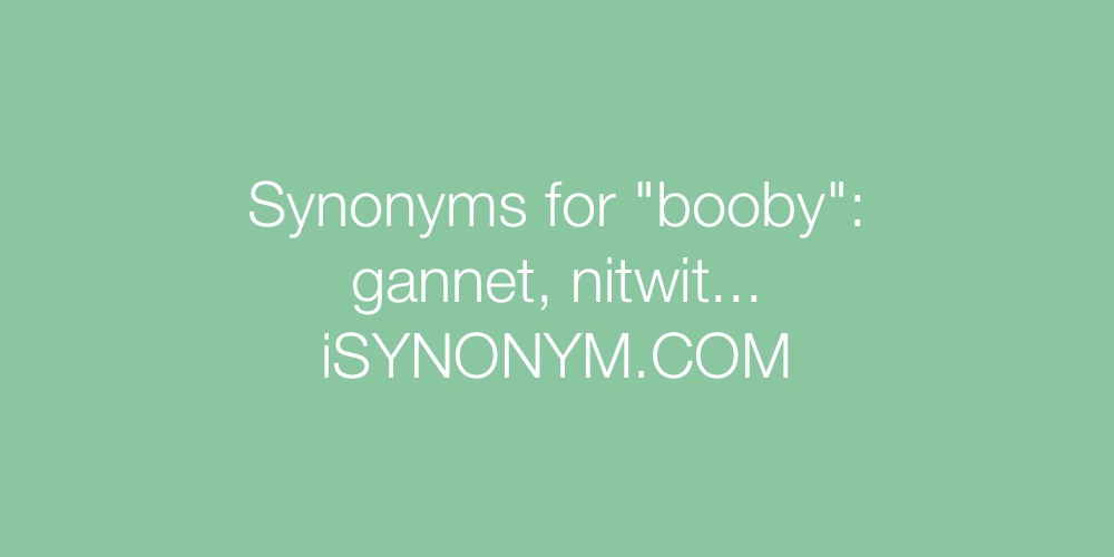 Synonyms booby