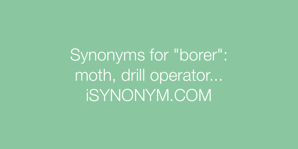 Synonyms borer