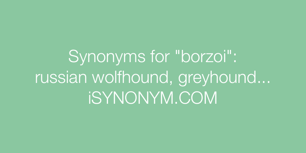 Synonyms borzoi