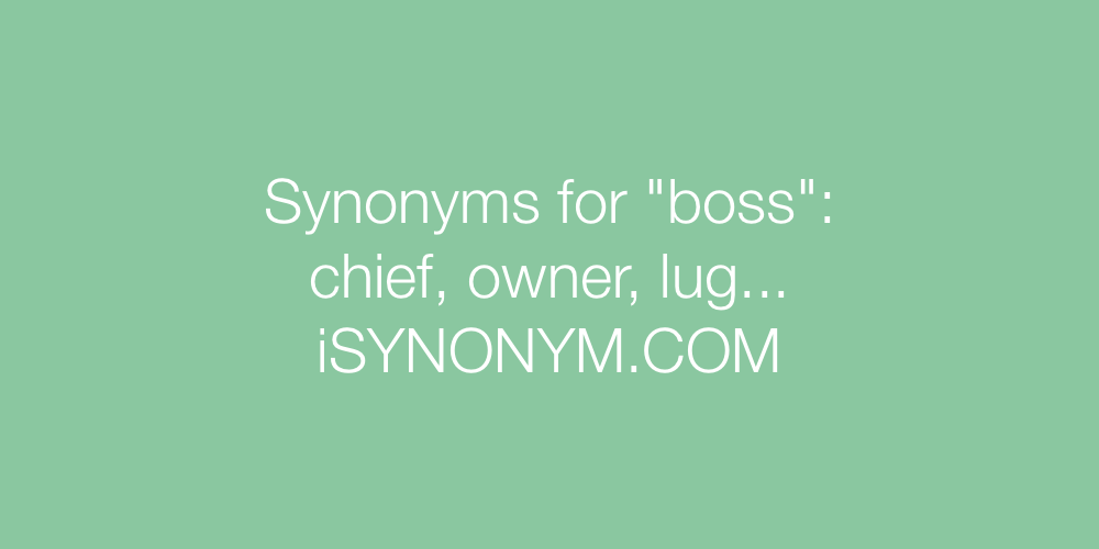 Synonyms boss