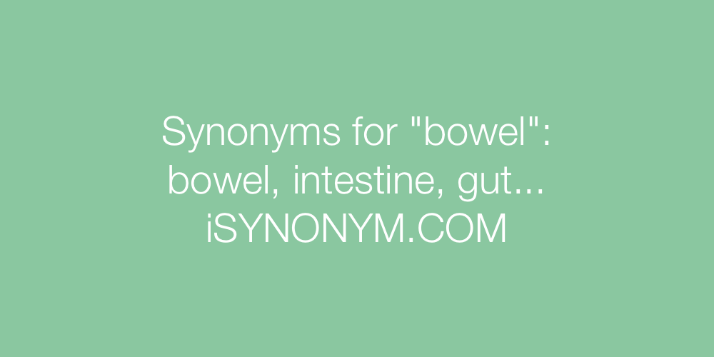 Synonyms bowel