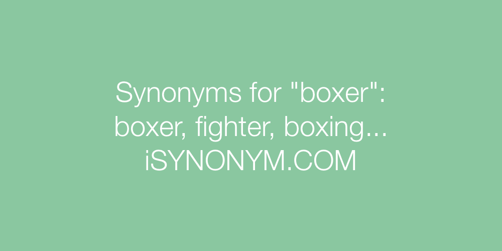 Synonyms boxer