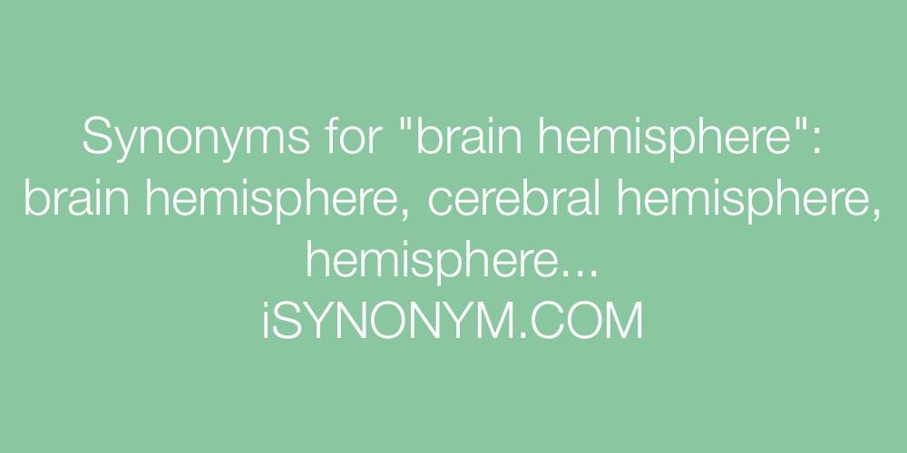Synonyms brain hemisphere