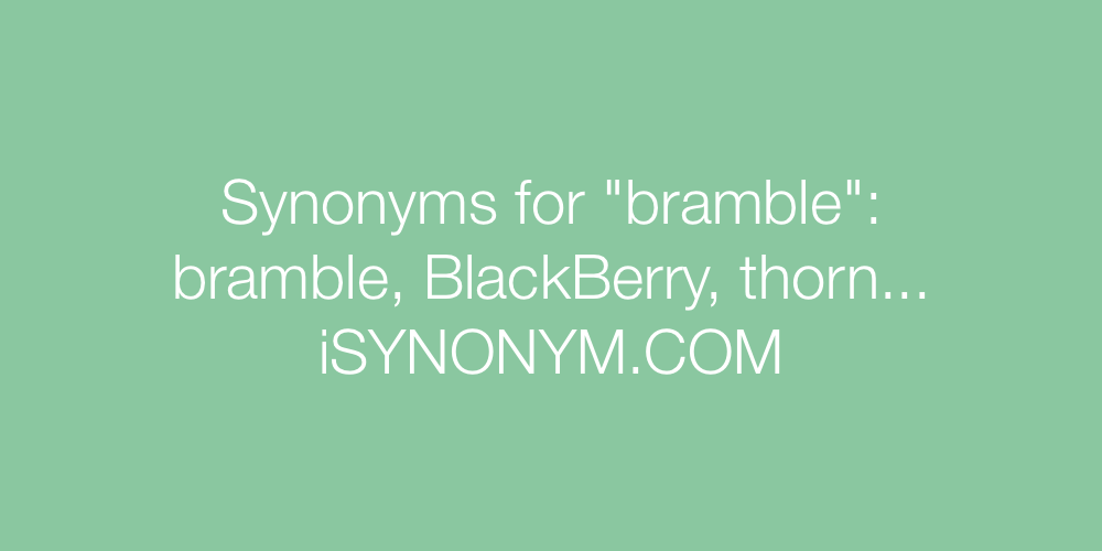 Synonyms bramble