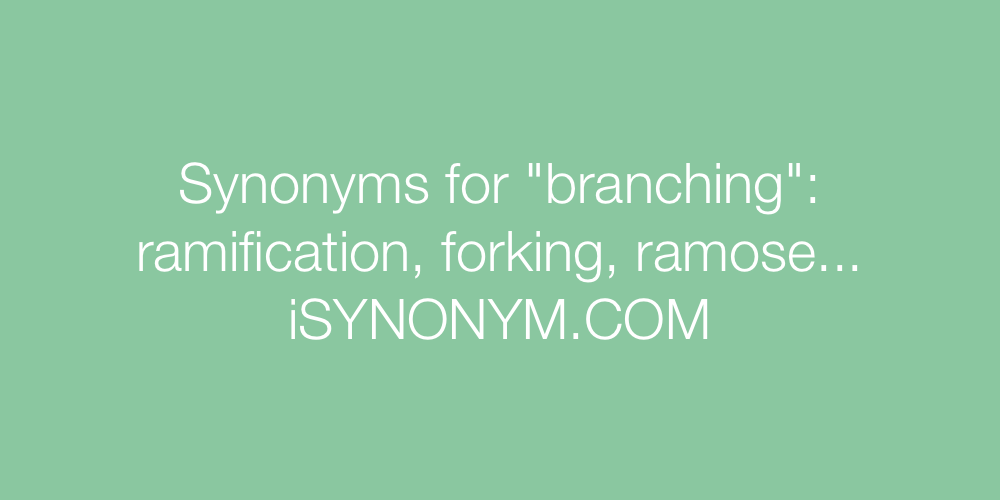 Synonyms branching
