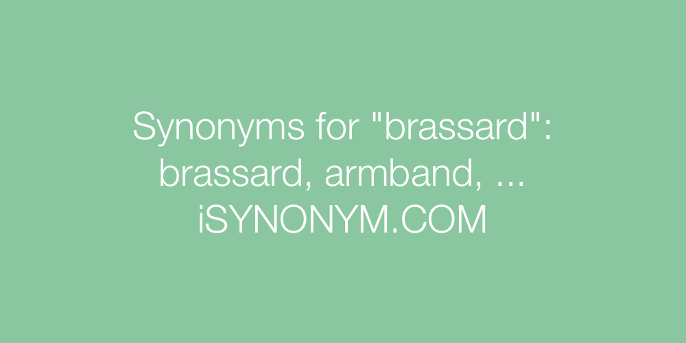 Synonyms brassard