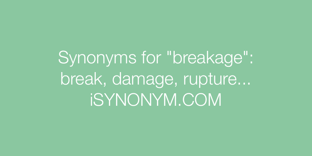 Synonyms breakage