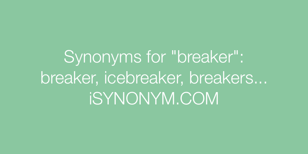 Synonyms breaker