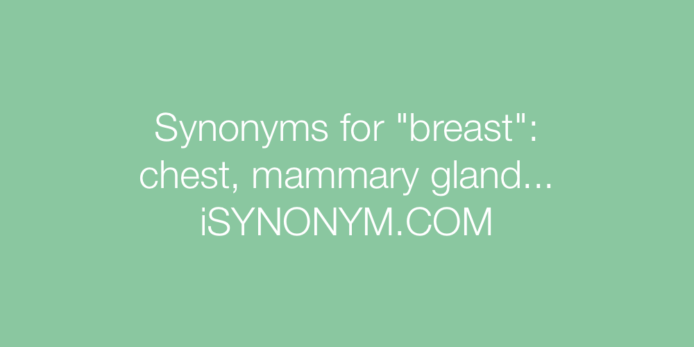 Synonyms for breast  breast synonyms 
