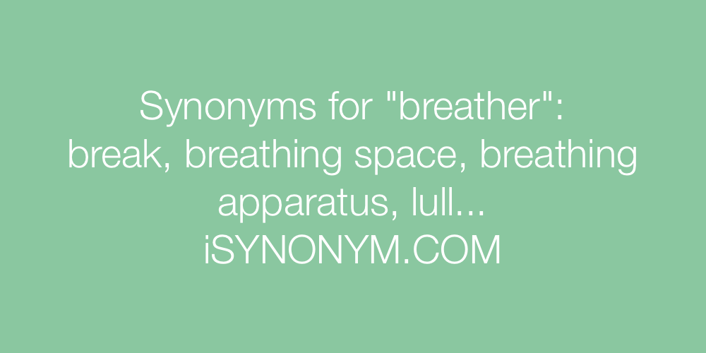 Synonyms breather