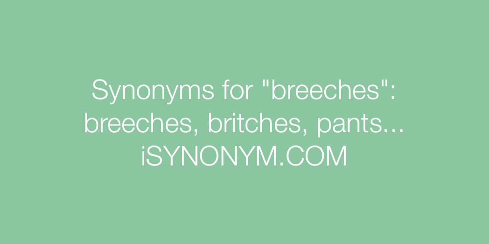 Synonyms breeches