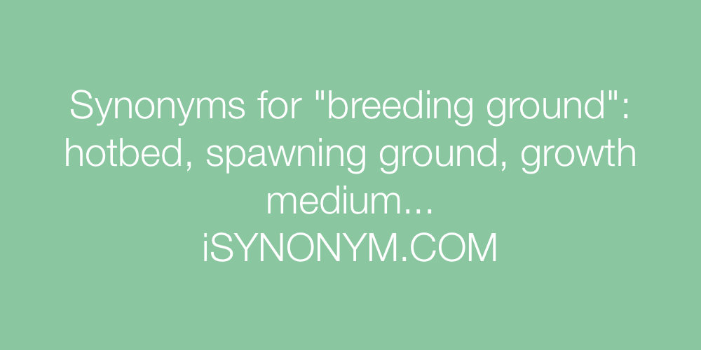 Synonyms breeding ground