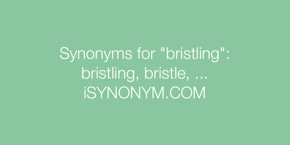 Synonyms bristling