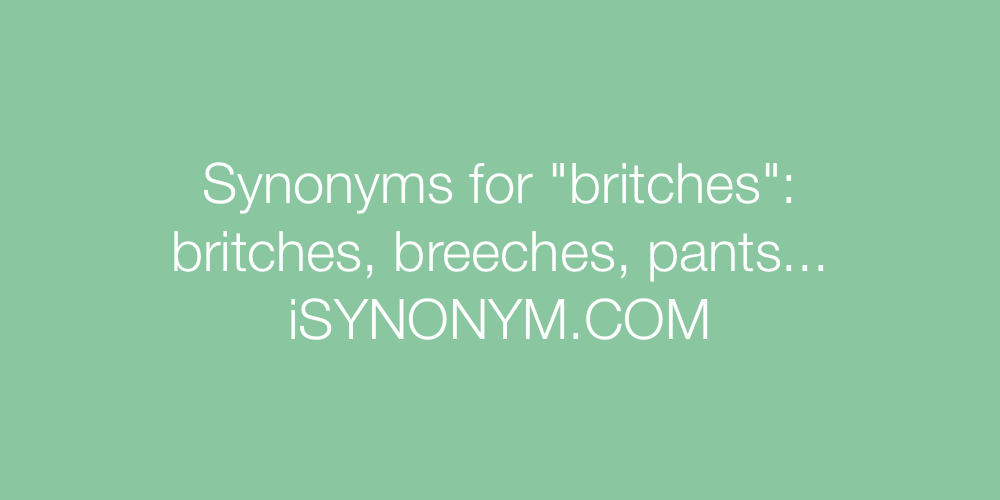 Synonyms britches