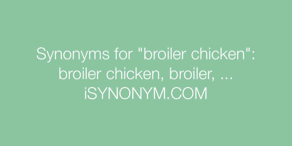Synonyms broiler chicken