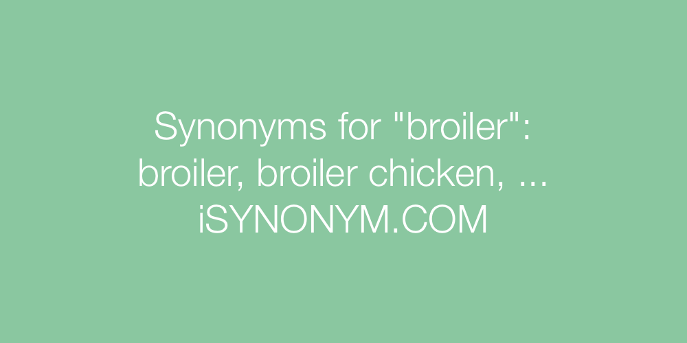 Synonyms broiler
