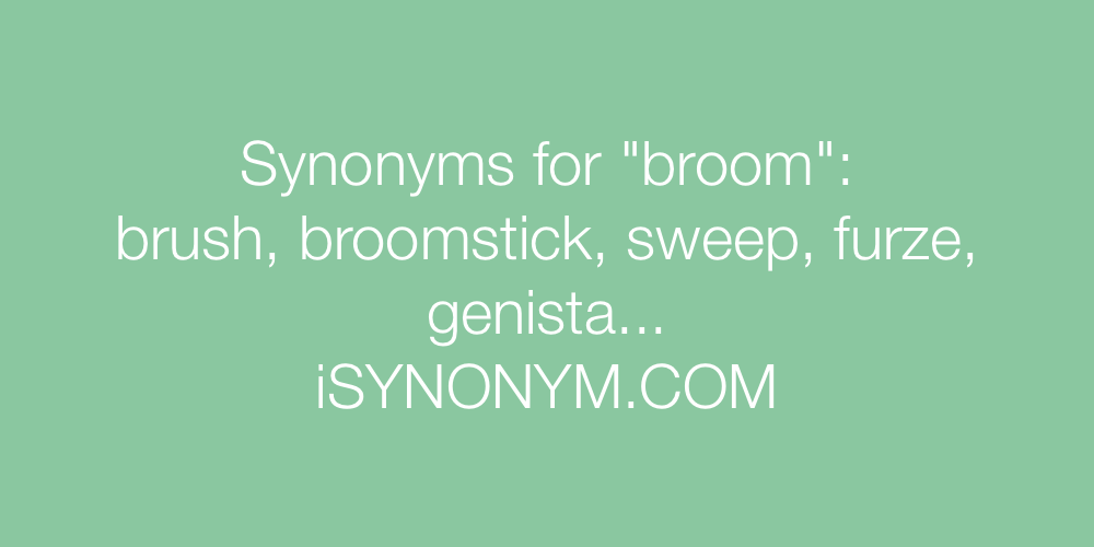 Synonyms broom