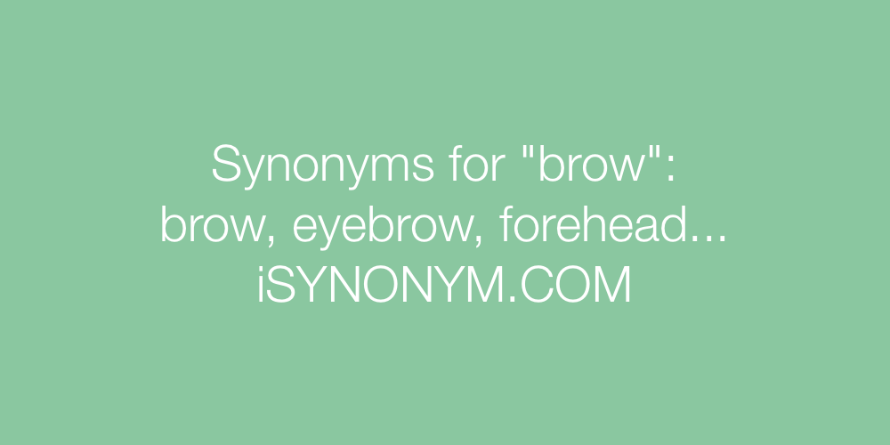 Synonyms brow