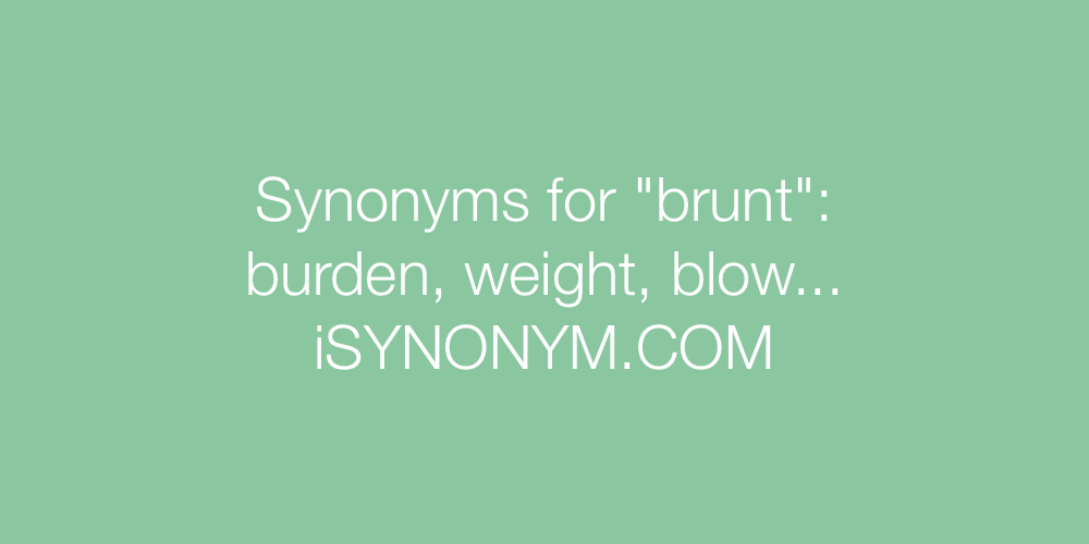 Synonyms brunt