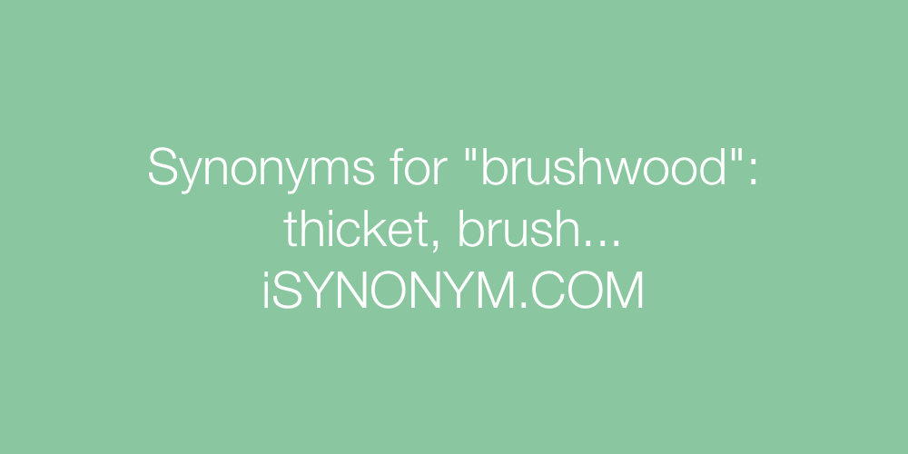 Synonyms brushwood